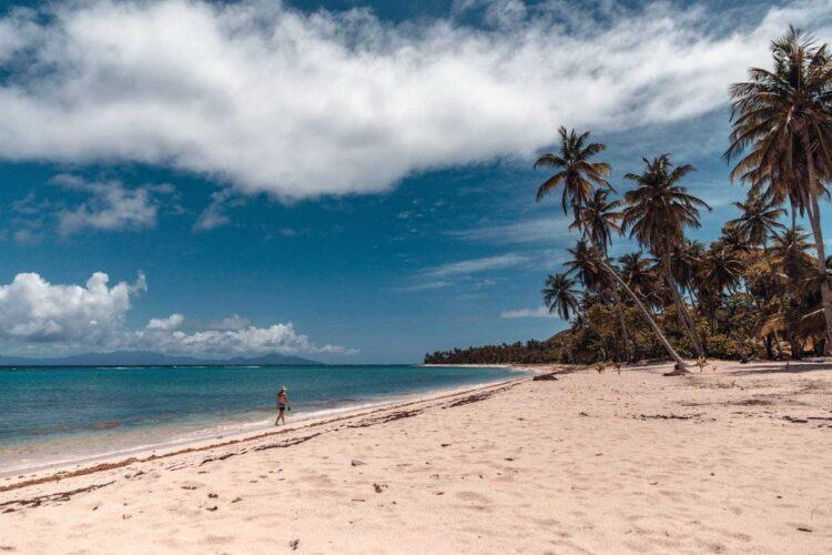 Une plage carte postale pour votre voyage en Guadeloupe